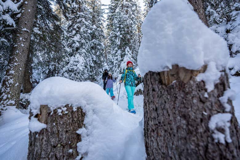 Caminando por los helados parajes de Wetterhorn