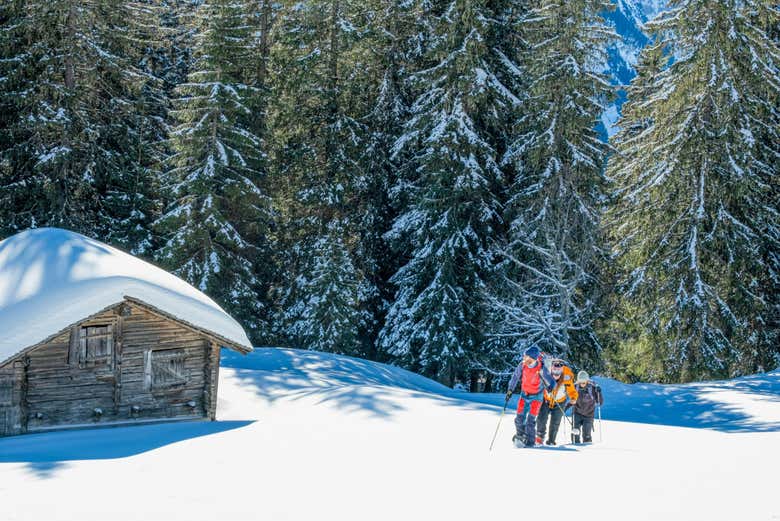 Contemplando los bellos paisajes nevados