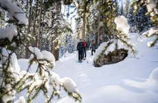 Paseo con raquetas de nieve por Wetterhorn
