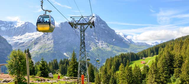 Teleférico al Monte First + Entrada a su mirador