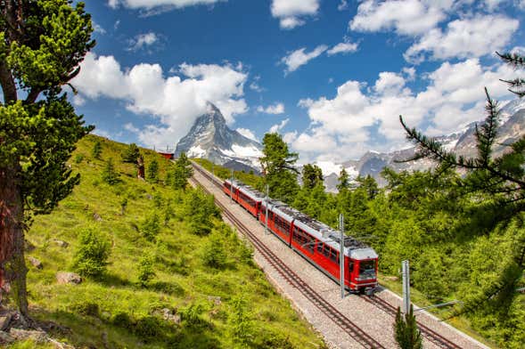 Jungfrau Trip