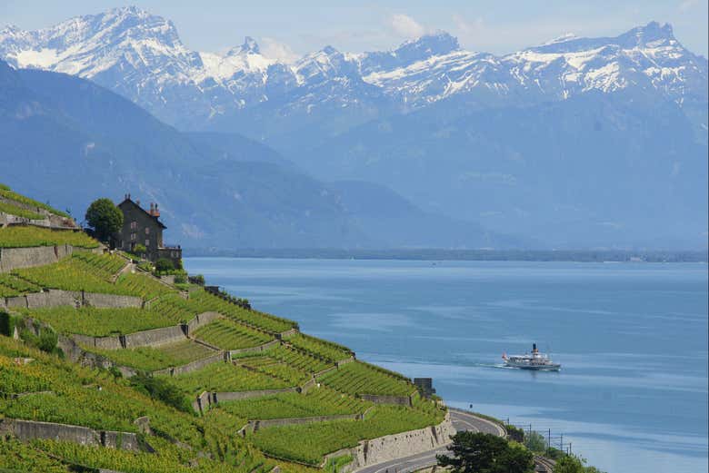 Vinhedos de Lavaux