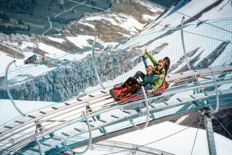 Alpine Coaster