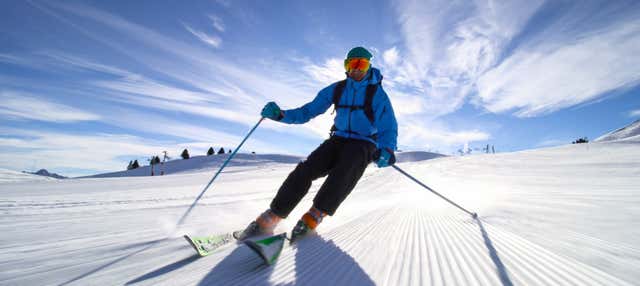Excursión a Grindelwald con clase de esquí
