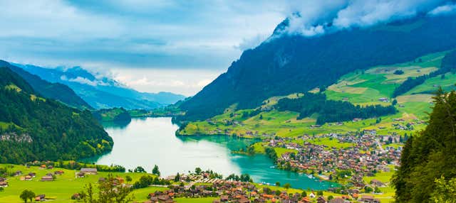 Excursión a Grindelwald e Interlaken
