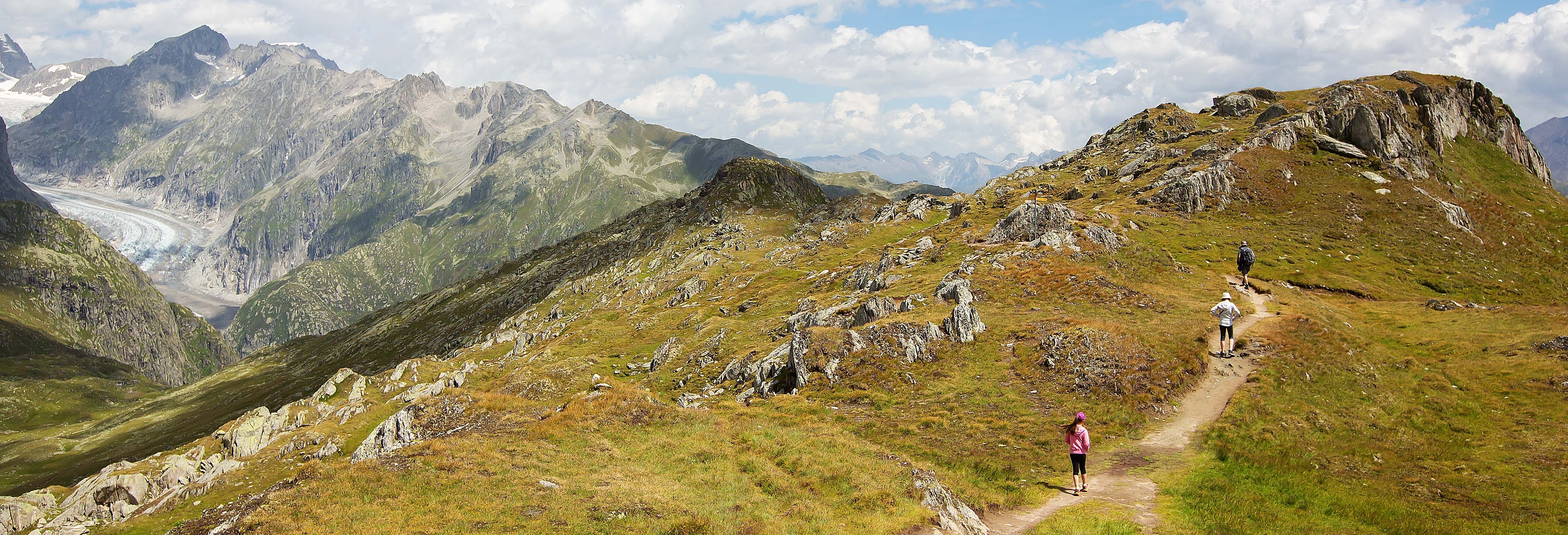 Visp