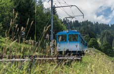 Mount Rigi Cogwheel Train