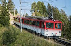 Tren cremallera del monte Rigi + Aguas termales