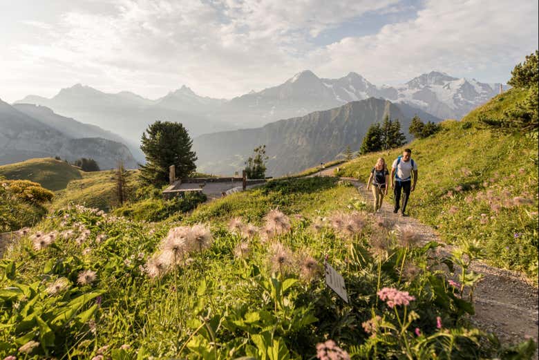 Balade dans la Schynige Platte