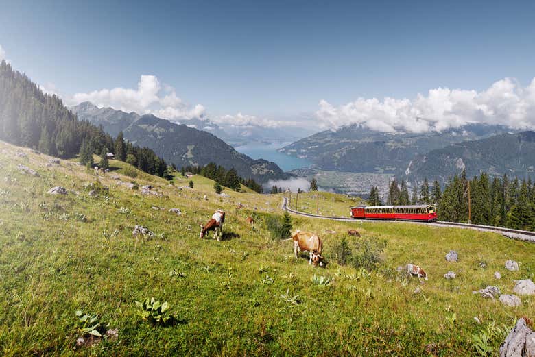 Train à crémaillère de Schynige Platte