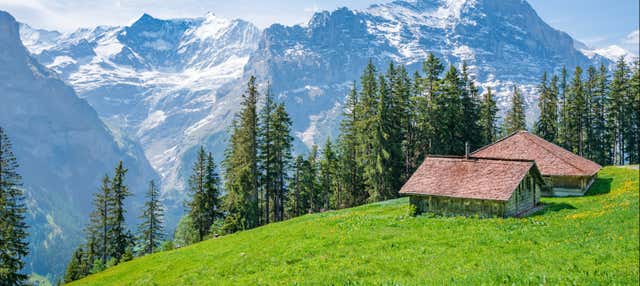 Excursión a Grindelwald y el Monte First