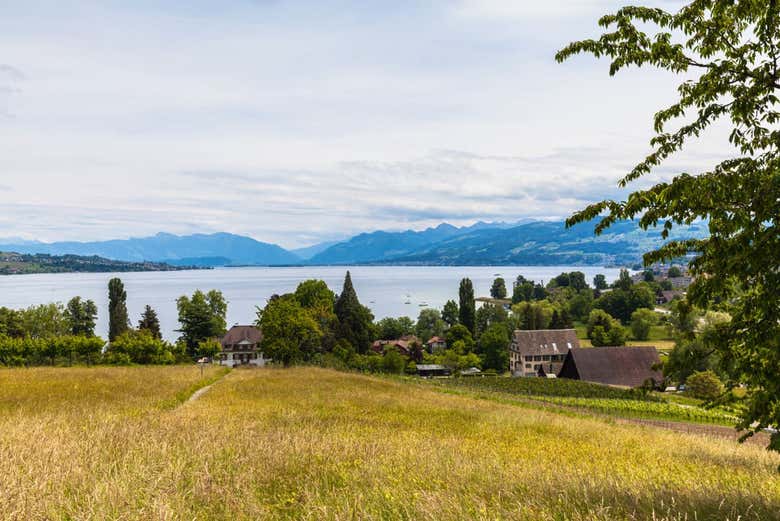 Lago de Zurique visto de Horgen