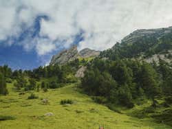 La forêt du Mont Pilate