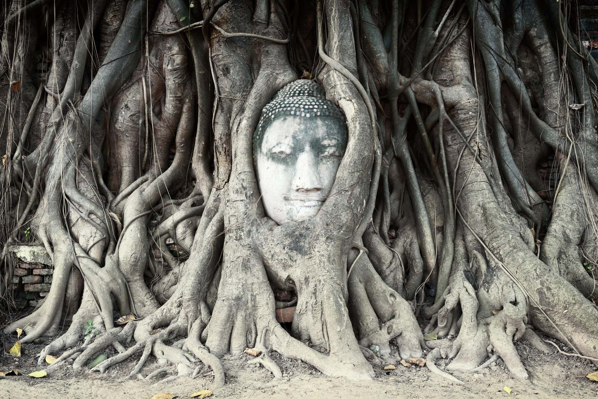 Croisière Thanatharee de 2 ou 3 jours vers Ayutthaya