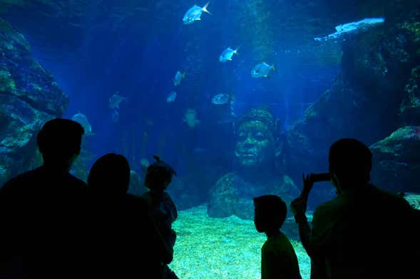 Entrada al SEA LIFE® Bangkok