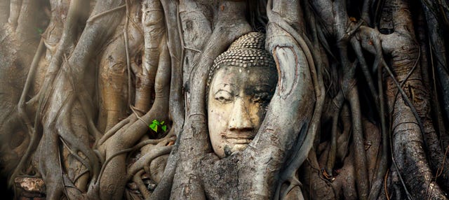 Excursion aux marchés et aux ruines d'Ayutthaya
