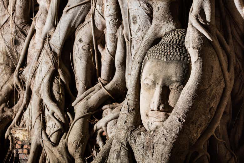 Angkor temples