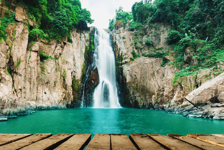 ¿Estáis listos para esta aventura selvática?