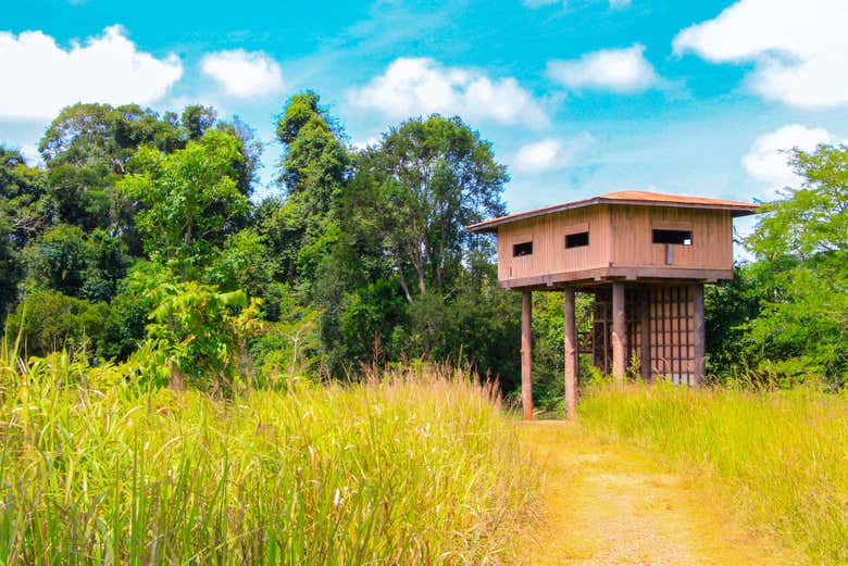 Torre de Observación Nong Phak Chi