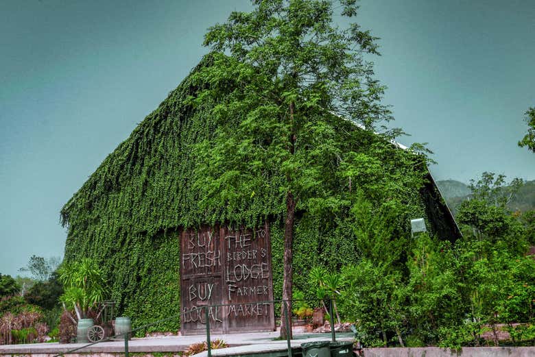 Haremos una parada en The Birders Lodge