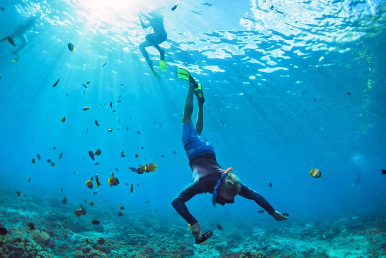 Praticando snorkel