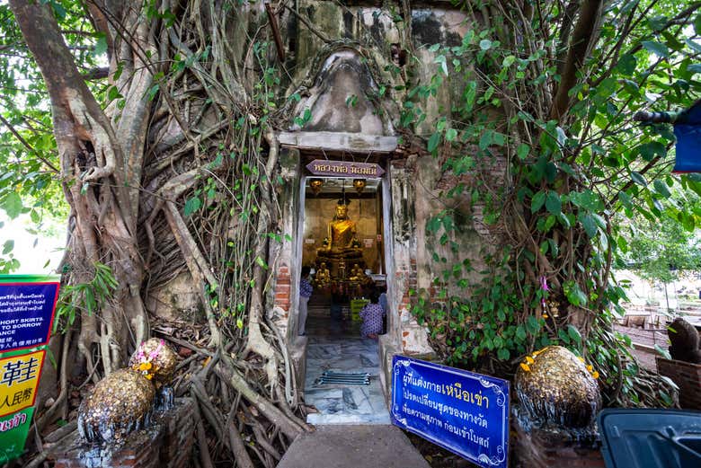 Entrada a Wat Bang Kung, el templo de las Raíces