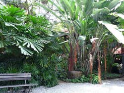 Jim Thompson House: il giardino