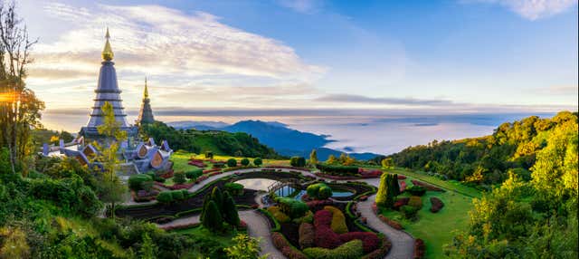 Doi Inthanon Trip