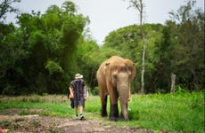 Excursión al santuario de elefantes