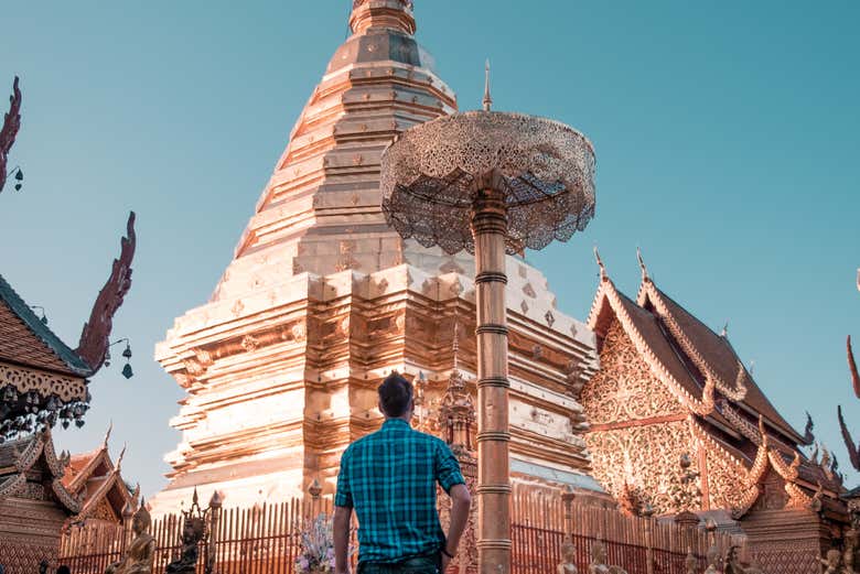 Study the delicate architecture