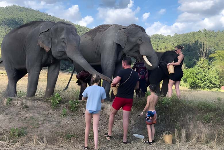 Une expérience unique !