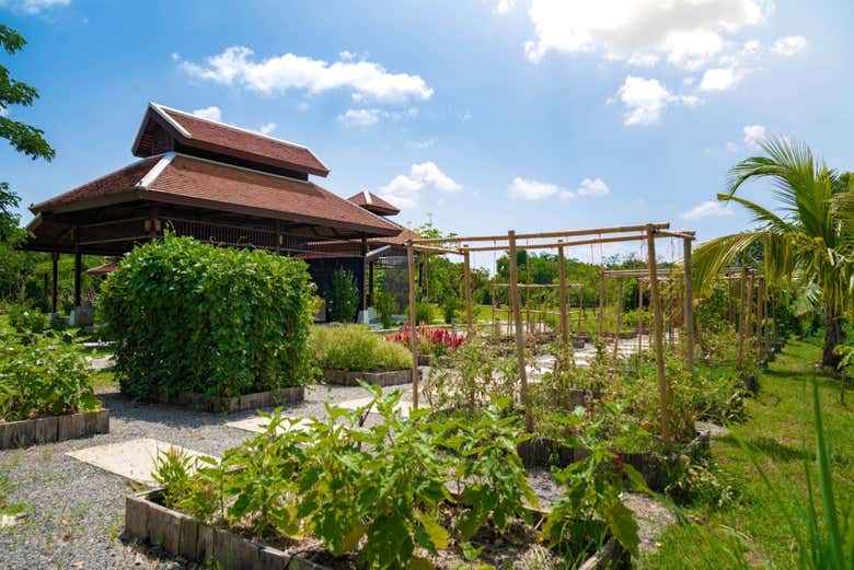 Location of the cooking class