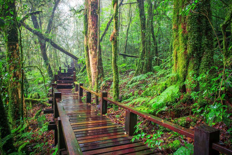 Doi Inthanon National Park