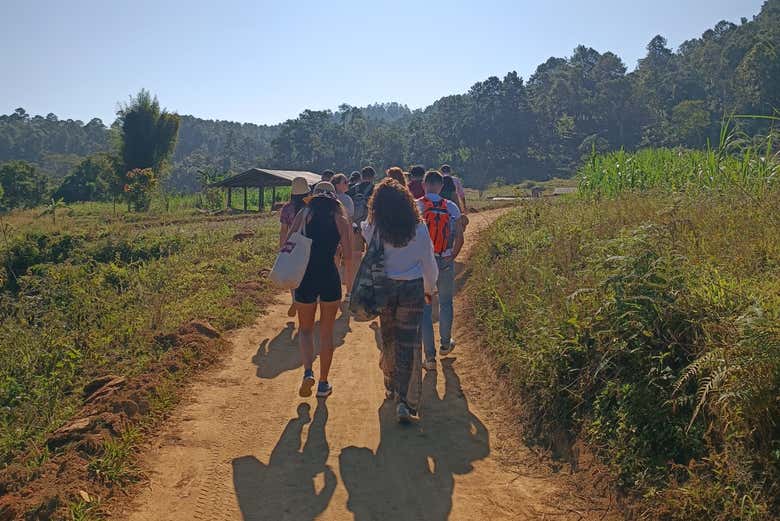 Ruta de senderismo en Doi Inthanon