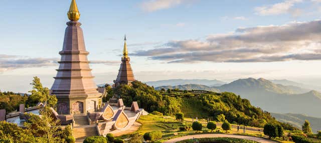 Oferta: Excursión al santuario de elefantes + Doi Inthanon