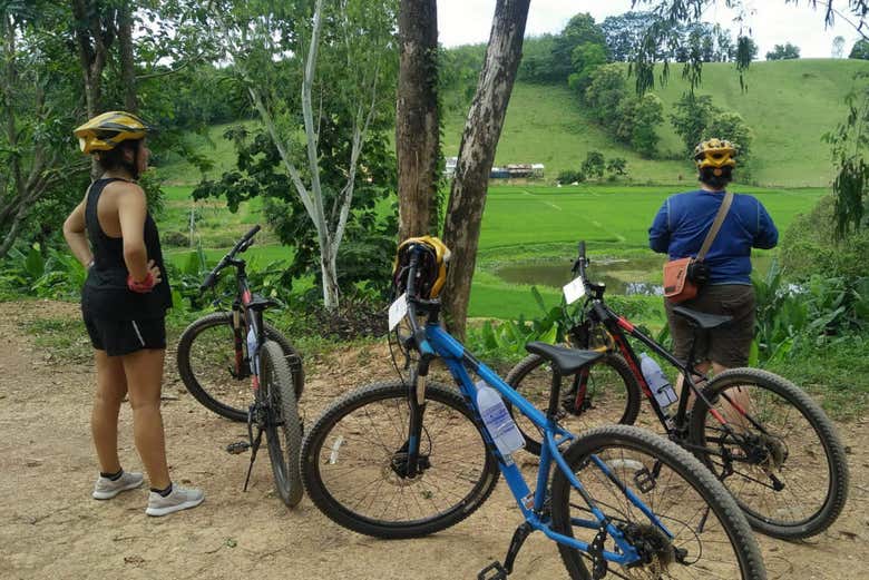 Contemplando los paisajes  rurales de Chiang Rai