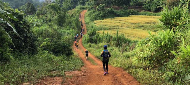 Trekking por Chiang Rai