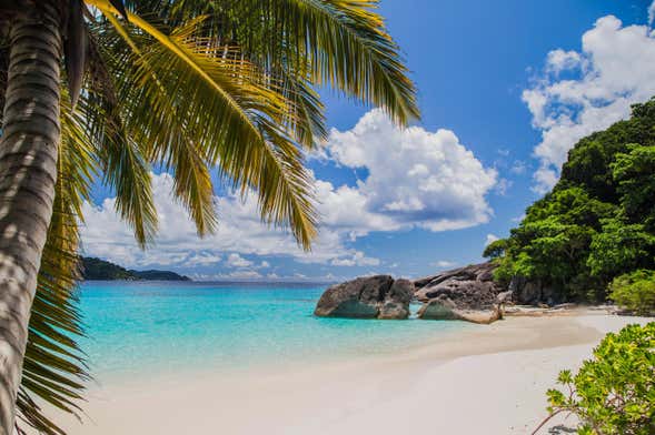 Excursion aux îles Similan en bateau à moteur