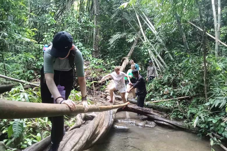 Haciendo trekking por la selva