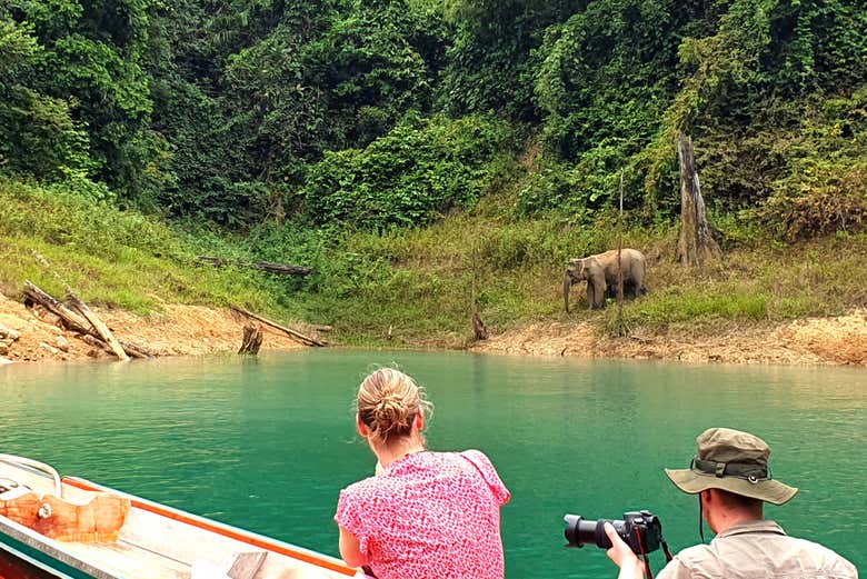 Descubriendo la fauna local