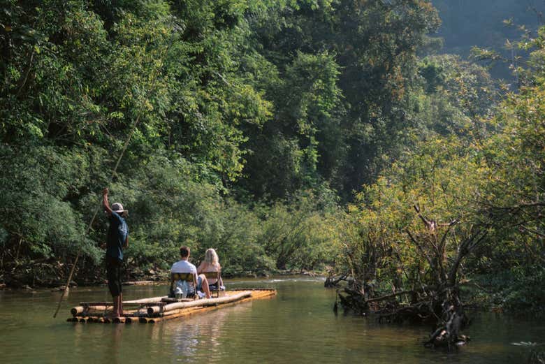 Naviguez parmi les mangroves