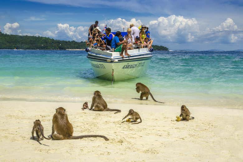 Conociendo a los habitantes de Monkey beach