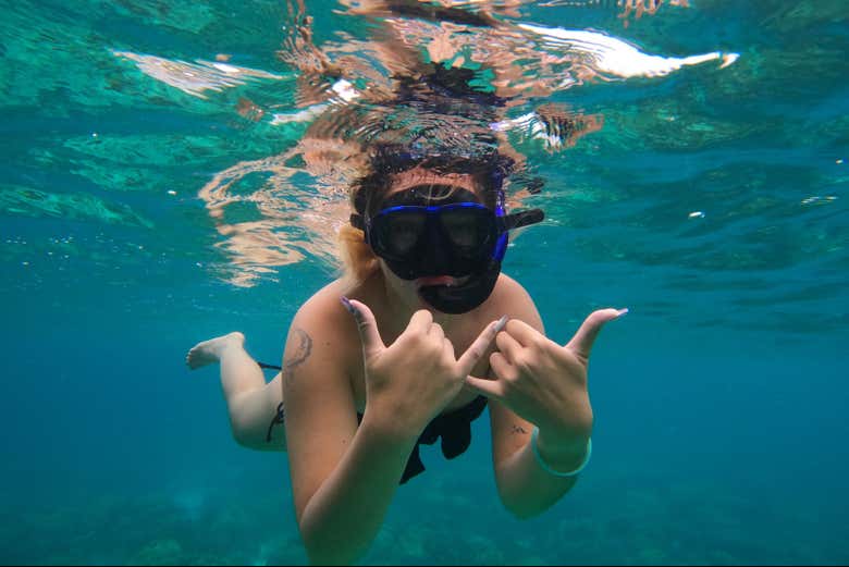 Snorkel in paradise