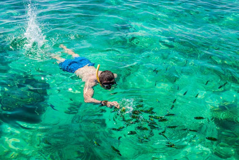 Praticando snorkel nas ilhas Phi Phi