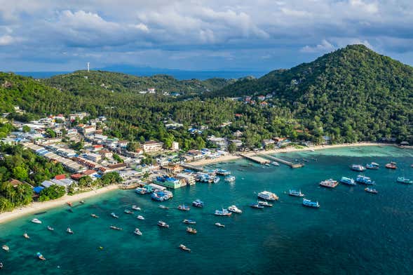 Koh Tao + Koh Nang Yuan Speedboat Tour
