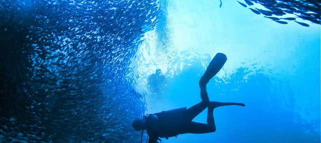 Bautismo de buceo en Koh Phi Phi Lee