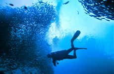 Bautismo de buceo en Koh Phi Phi Lee