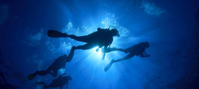 Buceo en el Parque Marino de Phi Phi
