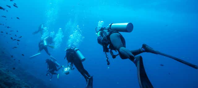 Curso de buceo SSI Open Water en Koh Phi Phi Lee