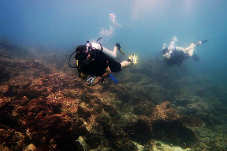 Immersione tra le barriere coralline